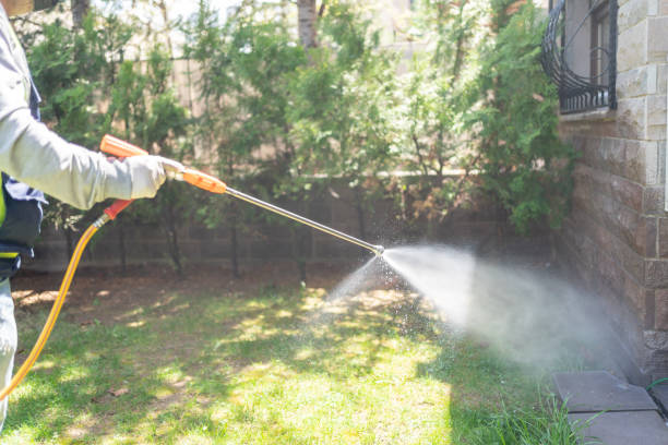 Lawn Pest Control in Gonzales, LA